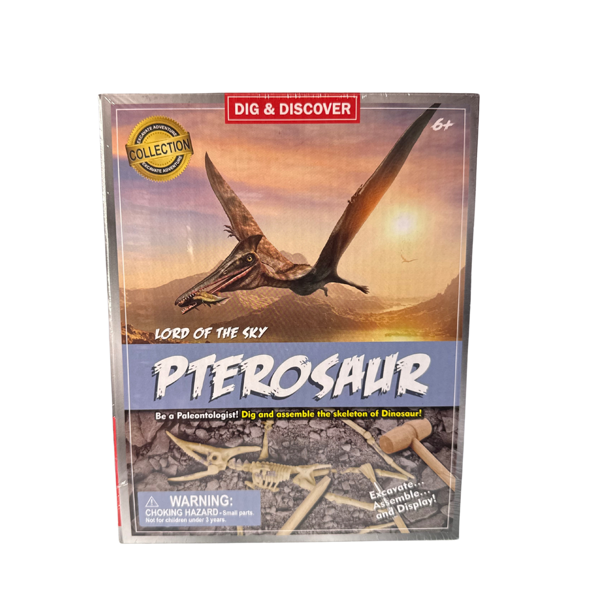 Lord of the Sky: Pterosaur Dig & Discover Kit