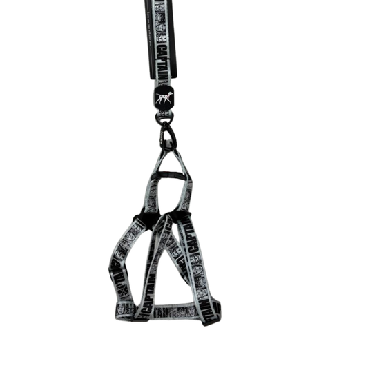 Mideapet “Captain” Dog Harness & Leash Set – Adjustable & Stylish Design